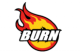 Imagen 5 de BURN 2010